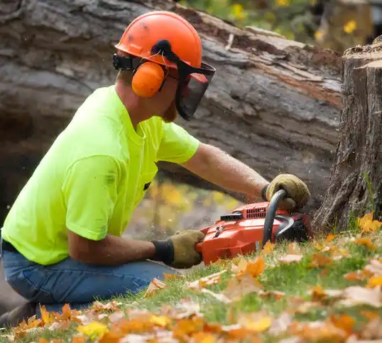 tree services Beloit